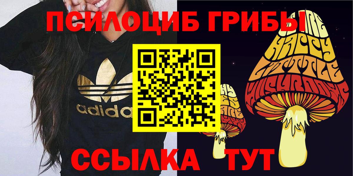 Холмск  Псилоцибиновые грибы MAGIC MUSHROOMS  Псилоцибиновые грибы мухоморы  Вход с VPN 