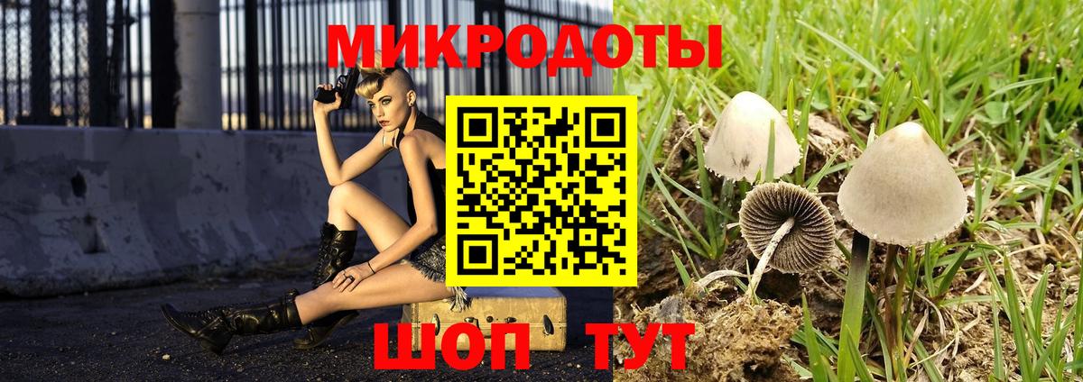Галлюциногенные грибы Cubensis Холмск